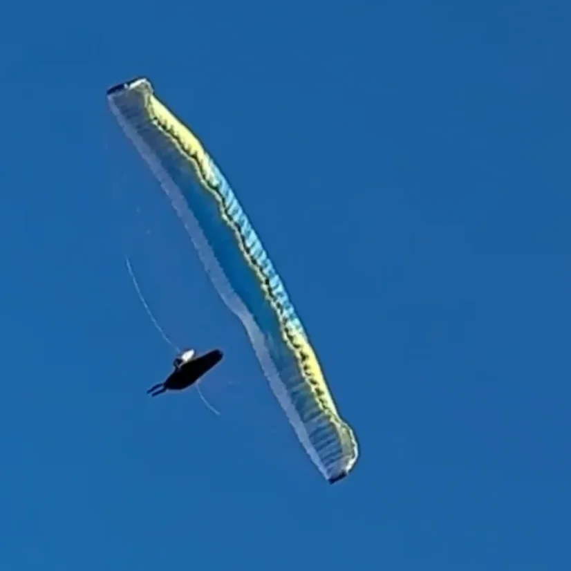 Lehačka Aquila LX