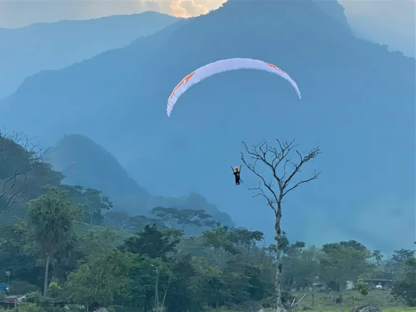 RC paraglider STABLE 2.1 RACE RAST (HYBRID-RAST®)
